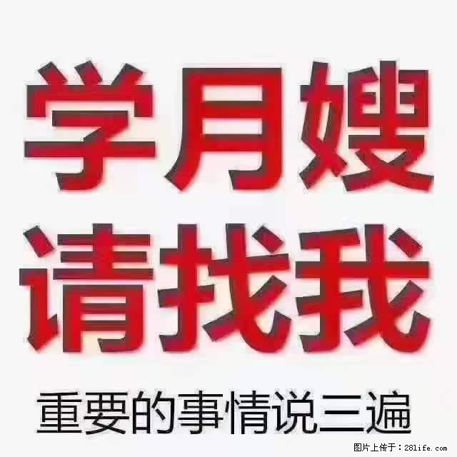 为什么要学习月嫂,育婴师? - 其他广告 - 广告专区 - 六盘水分类信息 - 六盘水28生活网 lps.28life.com
