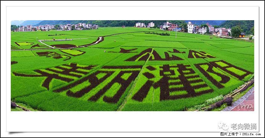 【春天,广西桂林灌阳县向您发出邀请!】开篇 - 游山玩水 - 六盘水生活社区 - 六盘水28生活网 lps.28life.com