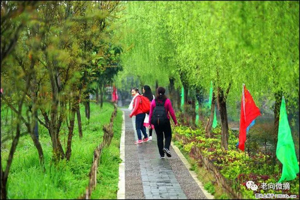 【春天,广西桂林灌阳县向您发出邀请!】江口老街又逢春 - 游山玩水 - 六盘水生活社区 - 六盘水28生活网 lps.28life.com