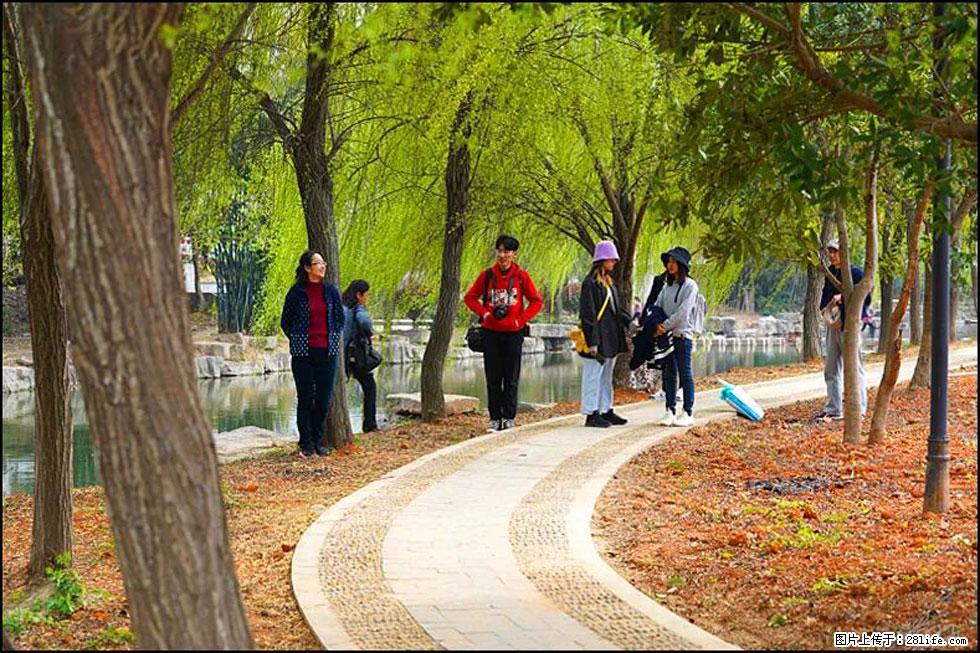 【春天,广西桂林灌阳县向您发出邀请!】江口老街又逢春 - 游山玩水 - 六盘水生活社区 - 六盘水28生活网 lps.28life.com