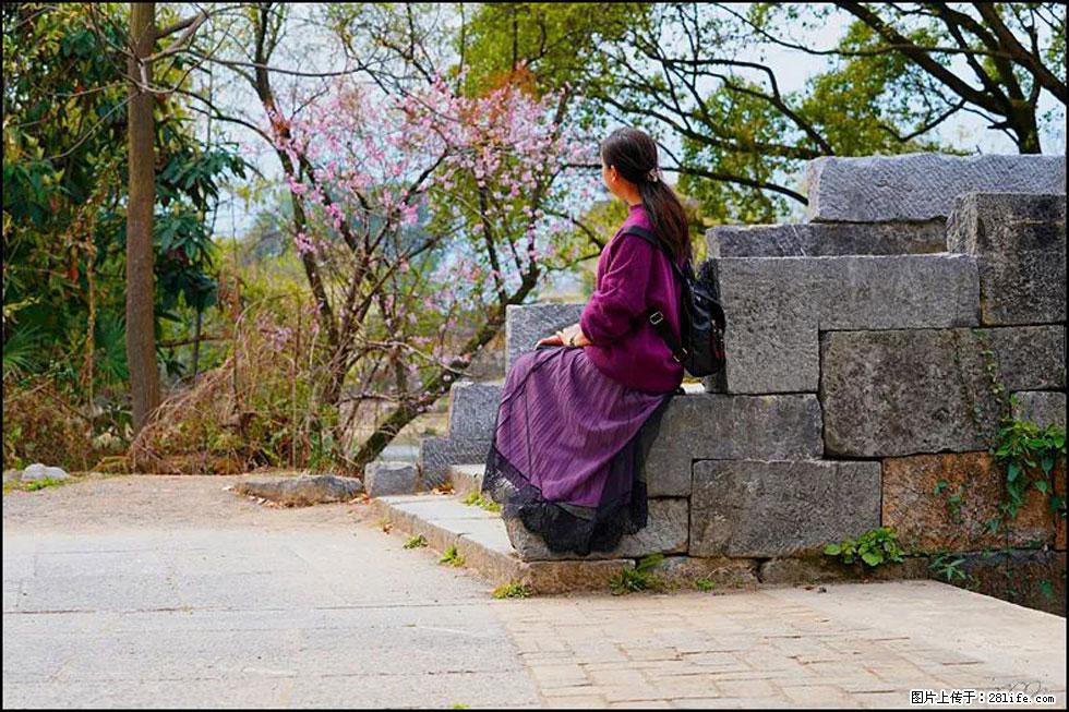 【春天,广西桂林灌阳县向您发出邀请!】江口老街又逢春 - 游山玩水 - 六盘水生活社区 - 六盘水28生活网 lps.28life.com