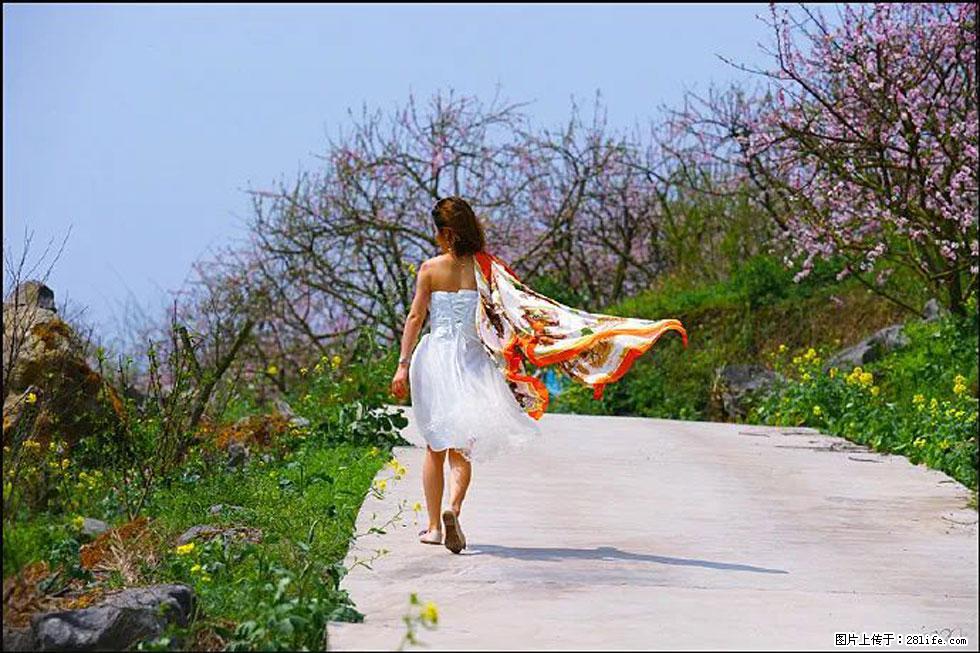 【春天,广西桂林灌阳县向您发出邀请!】望月岭上桃花开 - 游山玩水 - 六盘水生活社区 - 六盘水28生活网 lps.28life.com