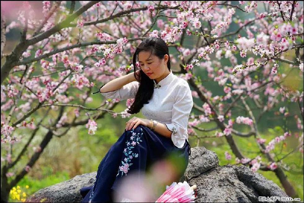 【春天,广西桂林灌阳县向您发出邀请!】望月岭上桃花开 - 游山玩水 - 六盘水生活社区 - 六盘水28生活网 lps.28life.com