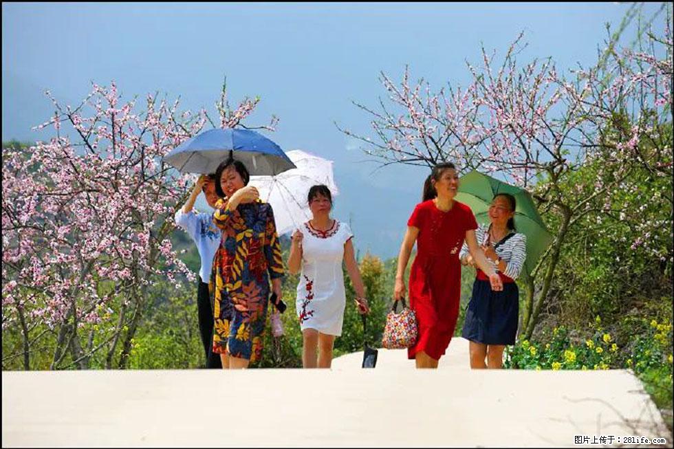 【春天,广西桂林灌阳县向您发出邀请!】望月岭上桃花开 - 游山玩水 - 六盘水生活社区 - 六盘水28生活网 lps.28life.com