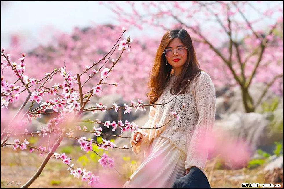 【春天,广西桂林灌阳县向您发出邀请!】望月岭上桃花开 - 游山玩水 - 六盘水生活社区 - 六盘水28生活网 lps.28life.com