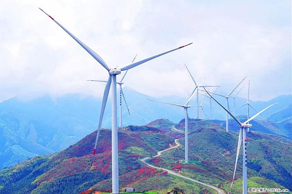 【春天,广西桂林灌阳县向您发出邀请!】春木界上映山红 - 游山玩水 - 六盘水生活社区 - 六盘水28生活网 lps.28life.com