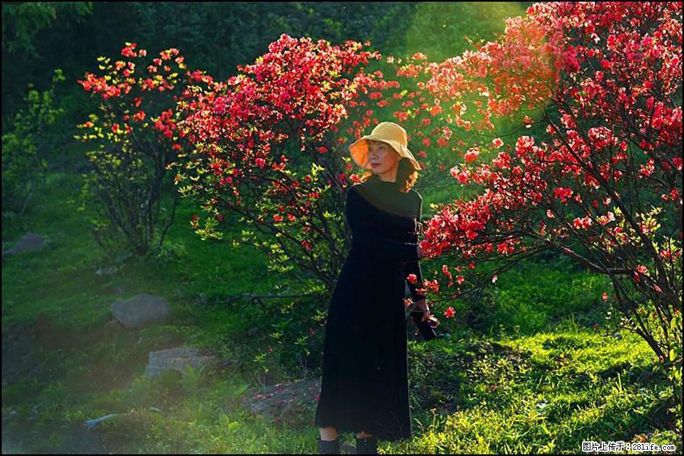 【春天,广西桂林灌阳县向您发出邀请!】春木界上映山红 - 游山玩水 - 六盘水生活社区 - 六盘水28生活网 lps.28life.com