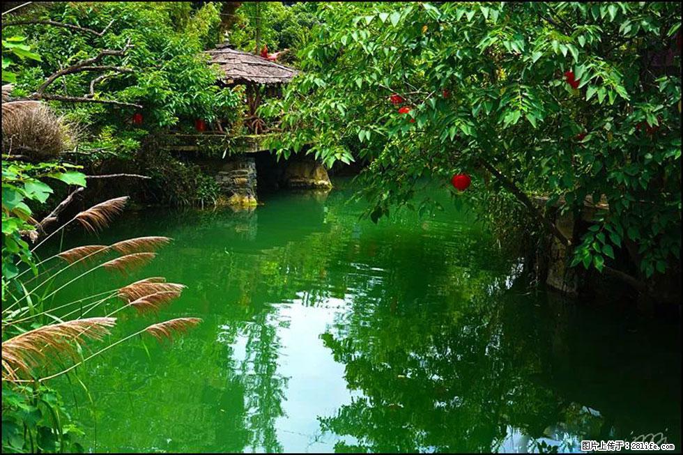 【春天,广西桂林灌阳县向您发出邀请!】如梦似幻莲溪庐 - 游山玩水 - 六盘水生活社区 - 六盘水28生活网 lps.28life.com