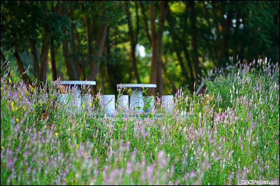 【春天,广西桂林灌阳县向您发出邀请!】熊家寨湿地公园 - 游山玩水 - 六盘水生活社区 - 六盘水28生活网 lps.28life.com