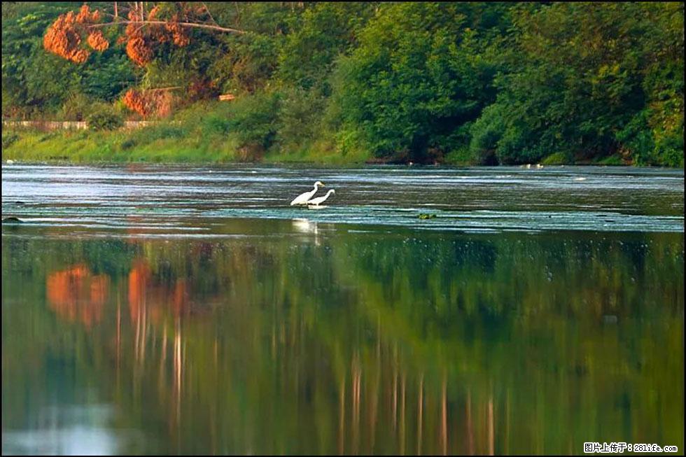 【春天,广西桂林灌阳县向您发出邀请!】熊家寨湿地公园 - 游山玩水 - 六盘水生活社区 - 六盘水28生活网 lps.28life.com