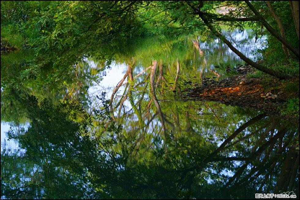 【春天,广西桂林灌阳县向您发出邀请!】熊家寨湿地公园 - 游山玩水 - 六盘水生活社区 - 六盘水28生活网 lps.28life.com