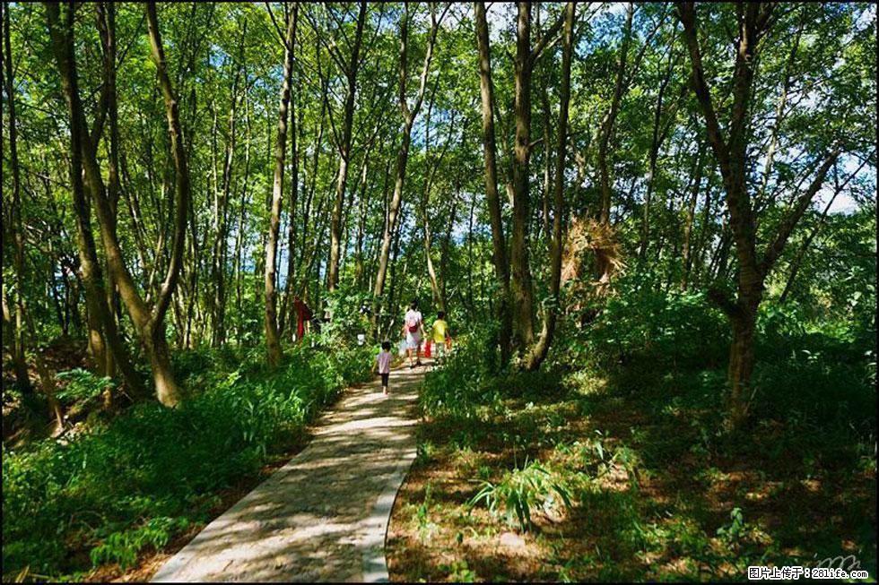 【春天,广西桂林灌阳县向您发出邀请!】熊家寨湿地公园 - 游山玩水 - 六盘水生活社区 - 六盘水28生活网 lps.28life.com