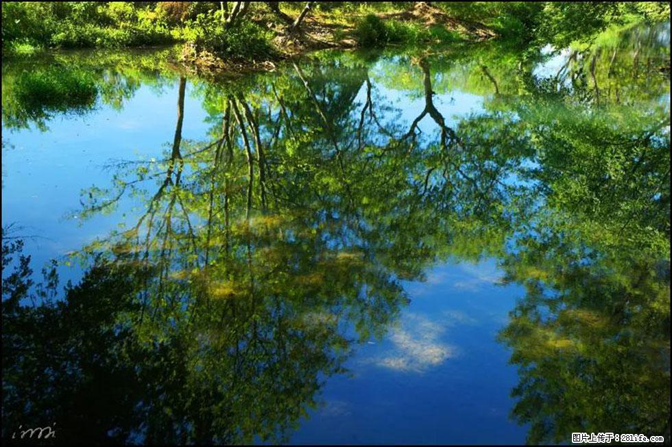 【春天,广西桂林灌阳县向您发出邀请!】熊家寨湿地公园 - 游山玩水 - 六盘水生活社区 - 六盘水28生活网 lps.28life.com