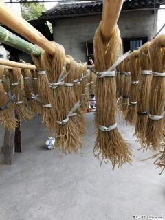 【灌阳正宗红薯粉】美女家里自己做的，干净卫生，假一赔十，价格合理，抢购电话：13737312895 - 六盘水28生活网 lps.28life.com