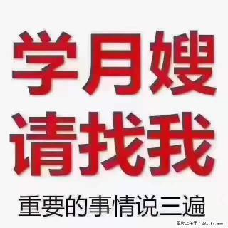 为什么要学习月嫂，育婴师？ - 六盘水28生活网 lps.28life.com