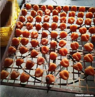 广西桂林平乐桥亭【柿饼之乡】2025年纯手工制作、无任何添加剂的第一批柿饼准备上市了，欢迎联系订购！ - 六盘水28生活网 lps.28life.com