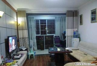 金鑫建材城 精装修 家具齐全 拎包入住 - 六盘水28生活网 lps.28life.com