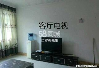 荷城花园荷泉公寓 3室2厅1卫 - 六盘水28生活网 lps.28life.com