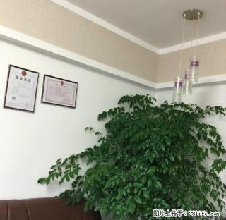 黄土坡百盛旁学期房出租，生活交通便利，没有诚意的勿扰 - 六盘水28生活网 lps.28life.com