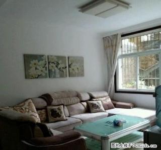 桃花公园住房出租。。 - 六盘水28生活网 lps.28life.com