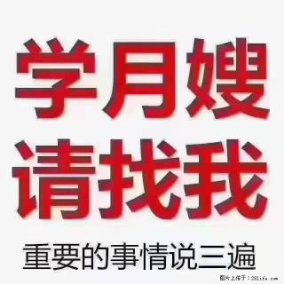 【招聘】月嫂，上海徐汇区 - 六盘水28生活网 lps.28life.com