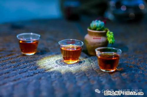 时间果百年古树2025年春红茶 - 购物交流 - 六盘水生活社区 - 六盘水28生活网 lps.28life.com