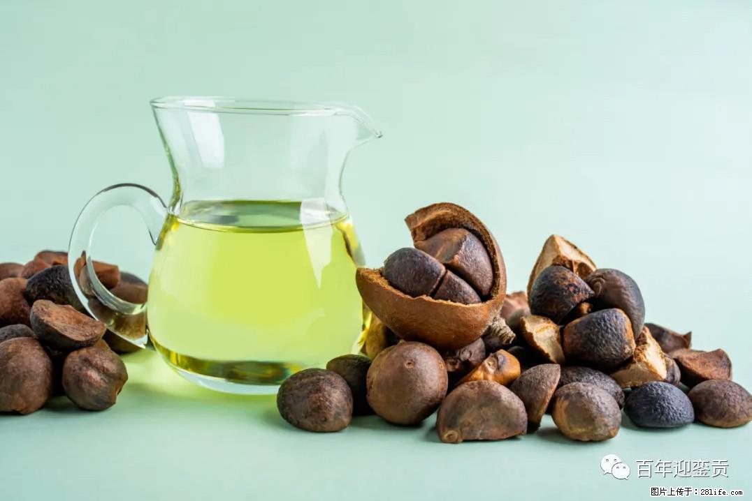 世界没有真相，只有认知，最好的食用油是中国的山茶油！ - 六盘水生活资讯 - 六盘水28生活网 lps.28life.com