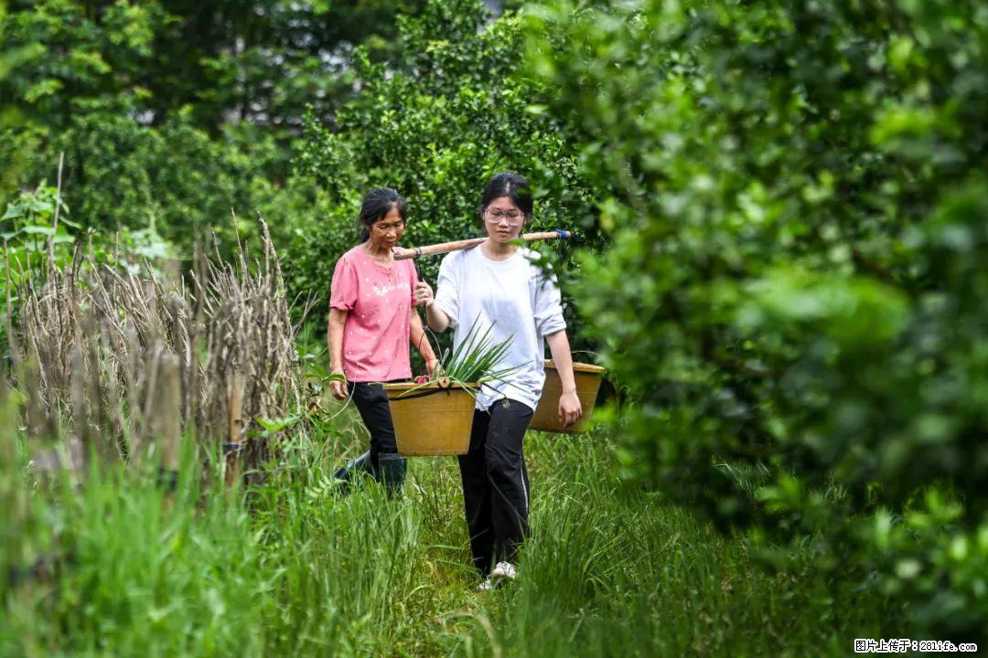 全网追的“扁担女孩”,找了一份暑假工,时薪12元 - 六盘水生活资讯 - 六盘水28生活网 lps.28life.com