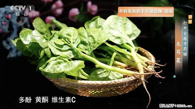比牛奶补钙还厉害!凉血解毒、稳血糖...这菜冬天必吃,很多人却当草 - 六盘水生活资讯 - 六盘水28生活网 lps.28life.com