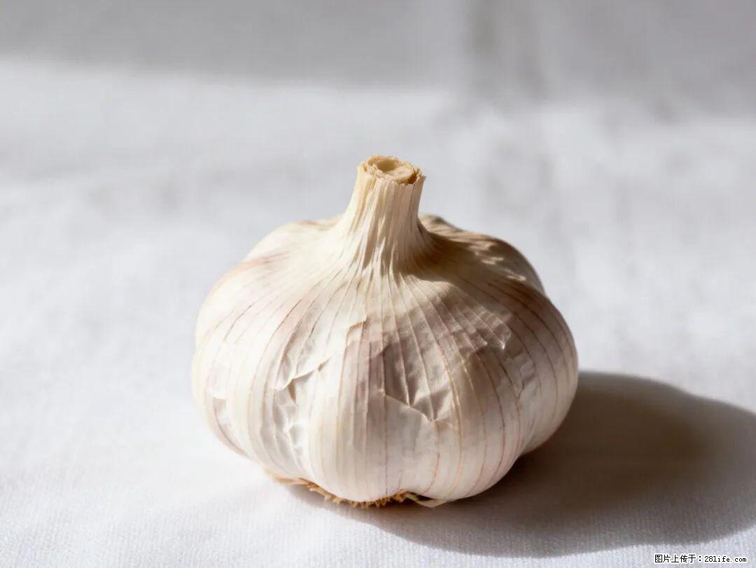 关于大蒜，除了“天然抗生素”，这4个谣言更该警惕! - 六盘水生活资讯 - 六盘水28生活网 lps.28life.com